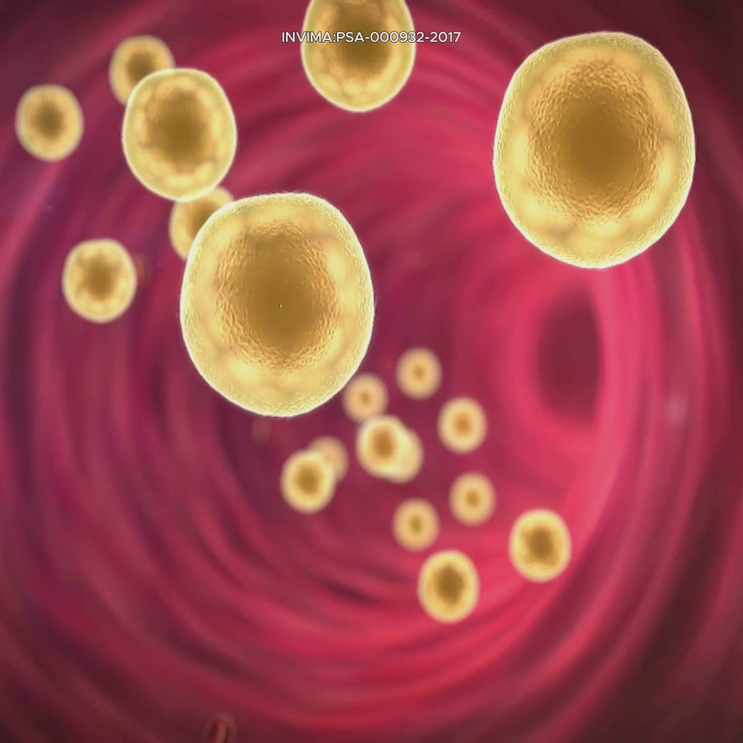 Cargar video: Porque usar RTA Full